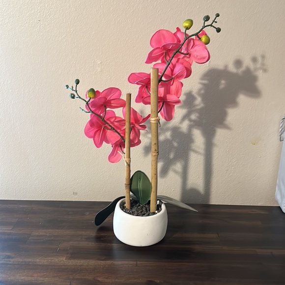 Flower - Picture 2 of 4